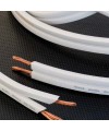 Viard Audio Câbles au mètre pour haut parleur Premium HD-line