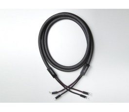 Cable Haut Parleur SINE Alonso Destockage